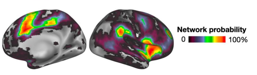 Caterina Gratton (@grattoncaterina) on Twitter photo Preprint out on the ⭐️cingulo-opercular⭐️ network,
a collab project co-led w/ <a href="/profmaitalneta/">Maital Neta</a> + <a href="/allydworetsky/">Ally Dworetsky</a>
bit.ly/3RTQQ79
We take a new 👀 at 1 of our fave 🧠 systems, after addressing indiv variation
➡️ leading us to a new proposal on its subdivision & evolution
🧵 Preprint out on the ⭐️cingulo-opercular⭐️ network,
a collab project co-led w/ <a href="/profmaitalneta/">Maital Neta</a> + <a href="/allydworetsky/">Ally Dworetsky</a>
bit.ly/3RTQQ79
We take a new 👀 at 1 of our fave 🧠 systems, after addressing indiv variation
➡️ leading us to a new proposal on its subdivision & evolution
🧵
