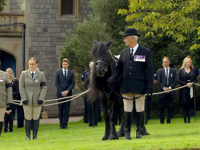 jayne_eggins's tweet photo. I was moved by the poignancy of the #queensfuneral but this moment as her beloved Pony Emma said Goodbye tipped me over the edge 😭 The UK did a magnificent job honouring #QueenElizabethII they should all be proud. As she would.

#queenspets 💔😭🥺 #Britain #Goodbye #ThankYou https://t.co/LFdoYVcPBD