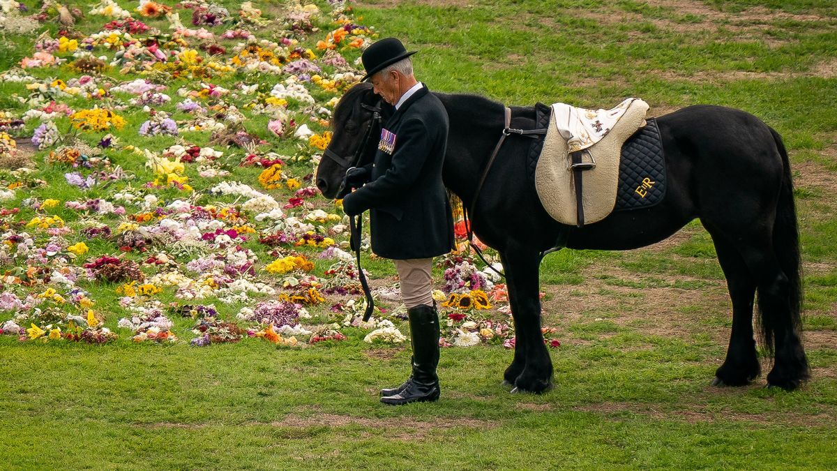 jayne_eggins's tweet photo. I was moved by the poignancy of the #queensfuneral but this moment as her beloved Pony Emma said Goodbye tipped me over the edge 😭 The UK did a magnificent job honouring #QueenElizabethII they should all be proud. As she would.

#queenspets 💔😭🥺 #Britain #Goodbye #ThankYou https://t.co/LFdoYVcPBD