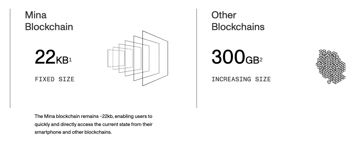 20/ There are entire L1 blockchains dedicated to using the succinctness of ZKPs for scaling, such as @MinaProtocol. Imagine the entire state of a blockchain stored in a set of ZK proofs shared across nodes and updated in parallel. You could set up a new node in seconds!