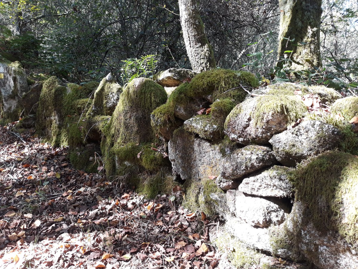 FeiraParga's tweet photo. #galiciadescuberta #galiciamola #Galiciaescondida #loves_galicia #galiciacalidade #somosgalegos #galiciaconencantos #clickgalicia #galicia_enamora #galicia_visual #estaes_galicia #total_galicia #ok_spain #landscape_features_ #landscape #photography https://t.co/TVuMHIZitt