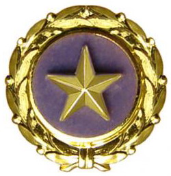 OfJwv's tweet photo. Sunday, September 25th is Gold Star Mothers Day
Gold stars represent family members killed during active duty. Honor the mothers of those that made the ultimate sacrifice.
For history of the Blue/Silver/Gold Stars, see https://t.co/OF8tOOk7iN https://t.co/JM7D8Ad15B