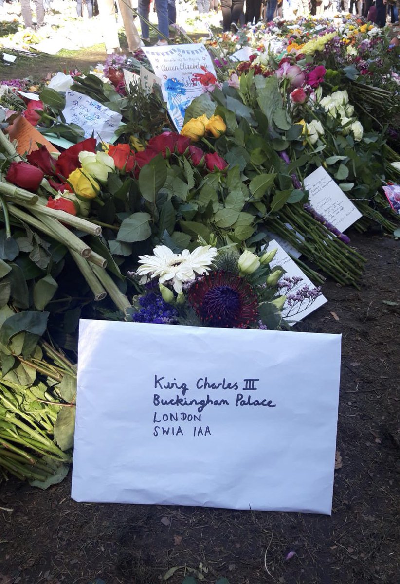 LlamasClass's tweet photo. Our postcard’s have been delivered to London. What a truly remarkable and historic day it has been! @Geckosclass https://t.co/QWiiXenmkQ
