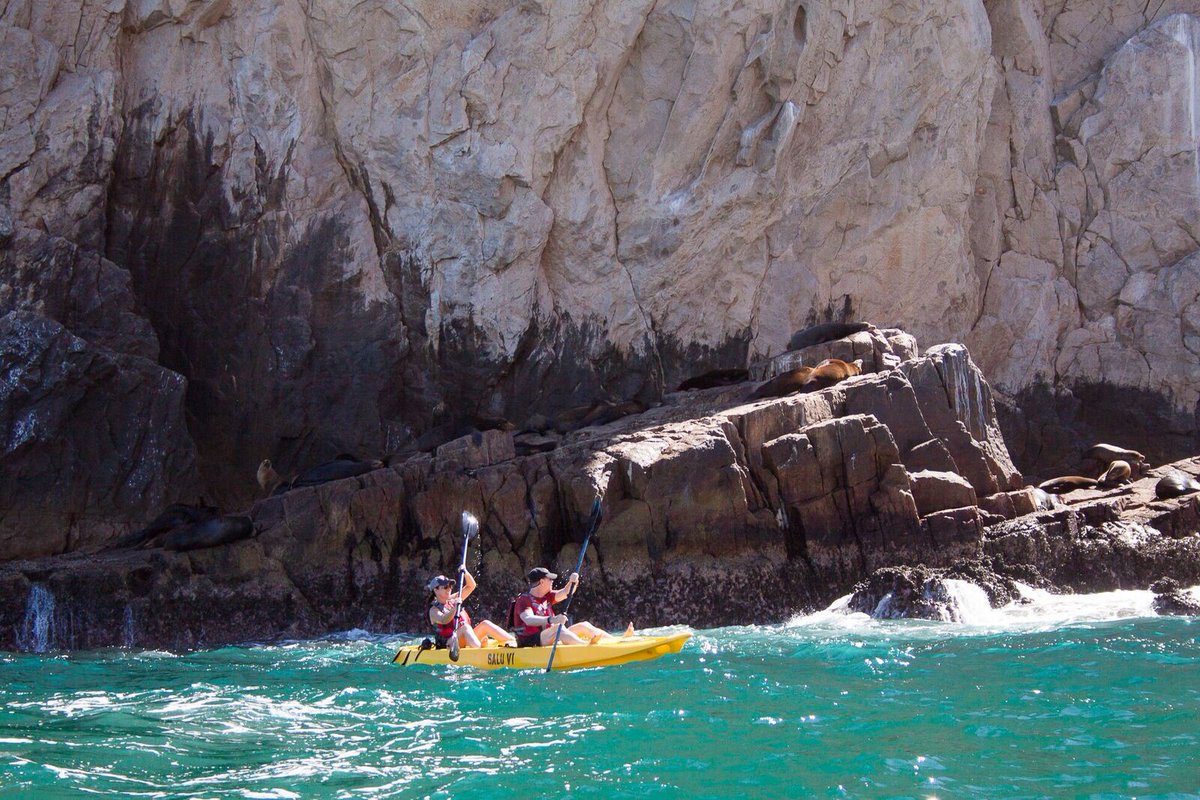 Dare to enjoy a day kayaking
#paddle #travel #kayakingadventures #outdoors #paddling #river #summer #water #seakayak
#watersports #gopro #seakayaking #kayakadventures #explore #beach #sea #kayak #kayaking #nature #adventure #sup #canoe #kayaklife #whitewater #kayaks