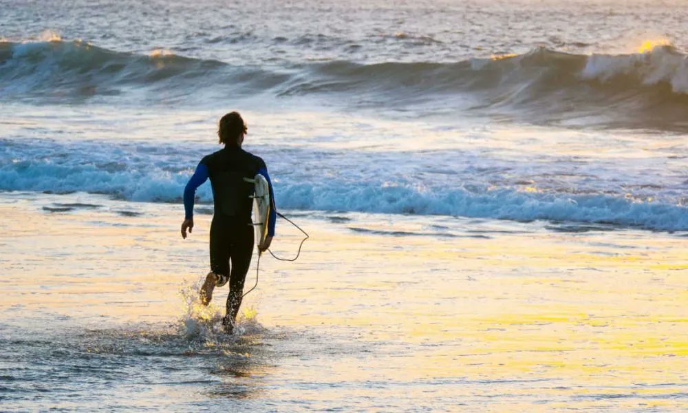 Avantage Labs tweet media