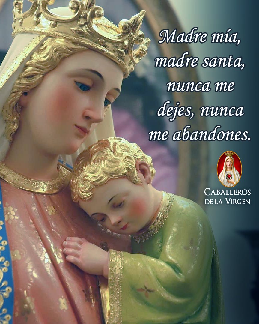 Caballeros de la Virgen tweet media