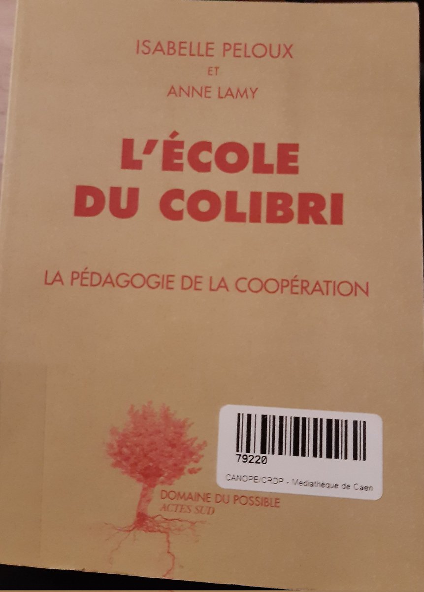 Classe des oiseaux tweet media