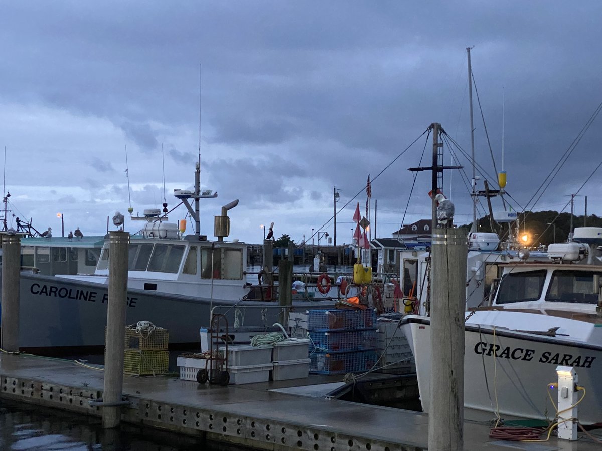 FishAlliance's tweet photo. The Sandwich Pier is always a beautiful sight for fishermen and fish fans alike.
#fishalliance #sandwich #capecod #pier #workingwaterfronts https://t.co/9kYXoTh1BJ