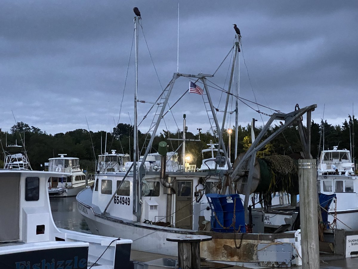 FishAlliance's tweet photo. The Sandwich Pier is always a beautiful sight for fishermen and fish fans alike.
#fishalliance #sandwich #capecod #pier #workingwaterfronts https://t.co/9kYXoTh1BJ