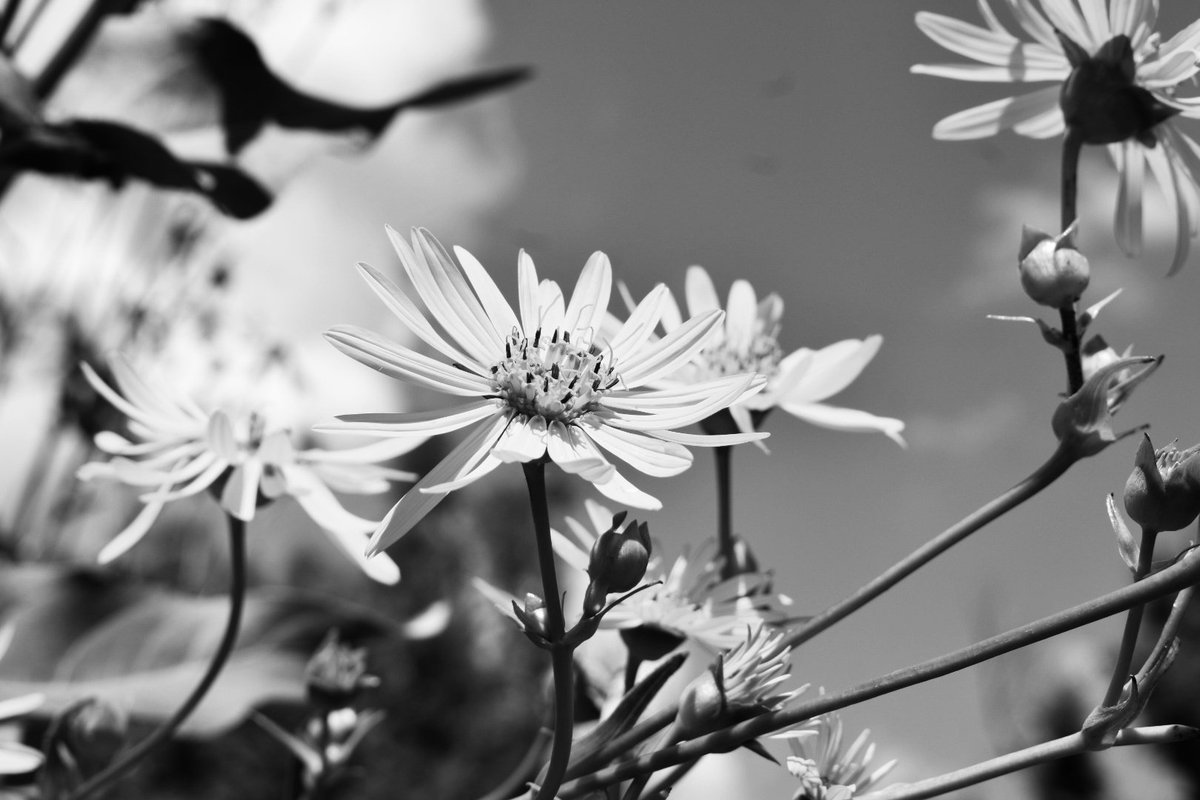 Kassi17's tweet image. 