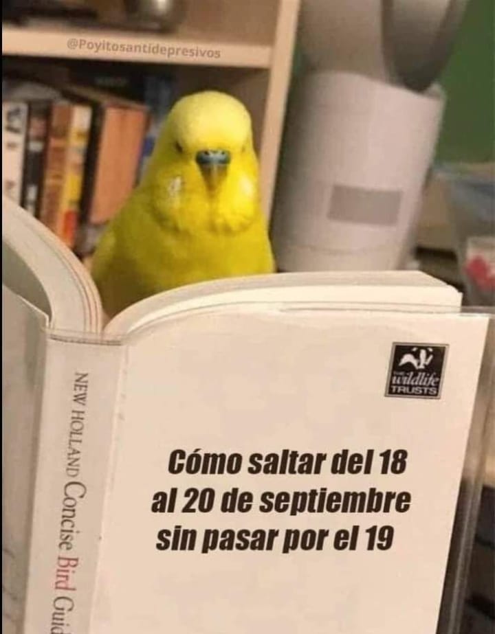 enriquemlocutor's tweet photo. @ERIKCAMACHOTV Igual en Narvarte Poniente y sin novedad https://t.co/slFCkycOZD