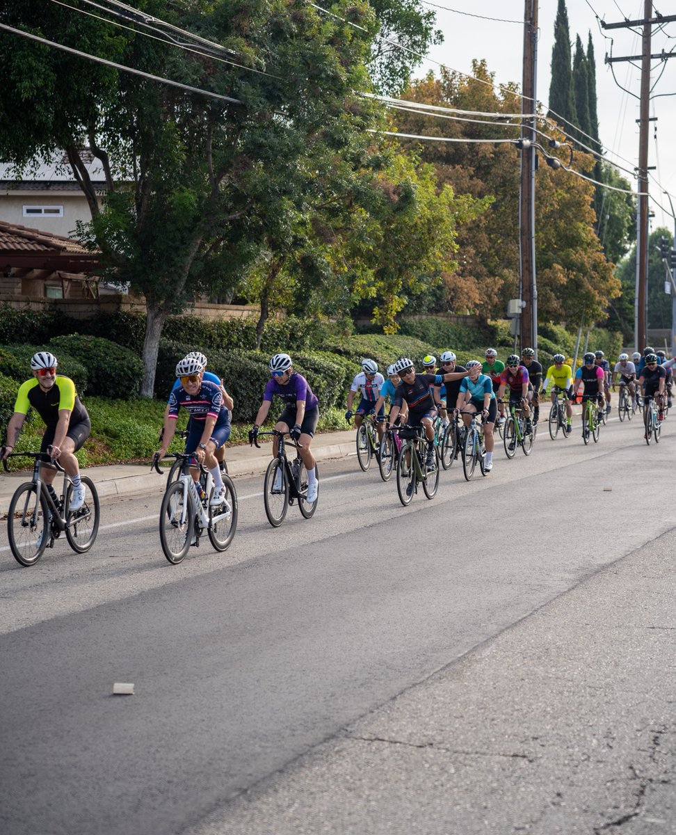 Incycle Bicycles tweet media