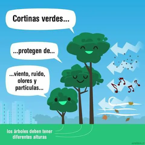 Cortinas verdes 🌳🌳🌳