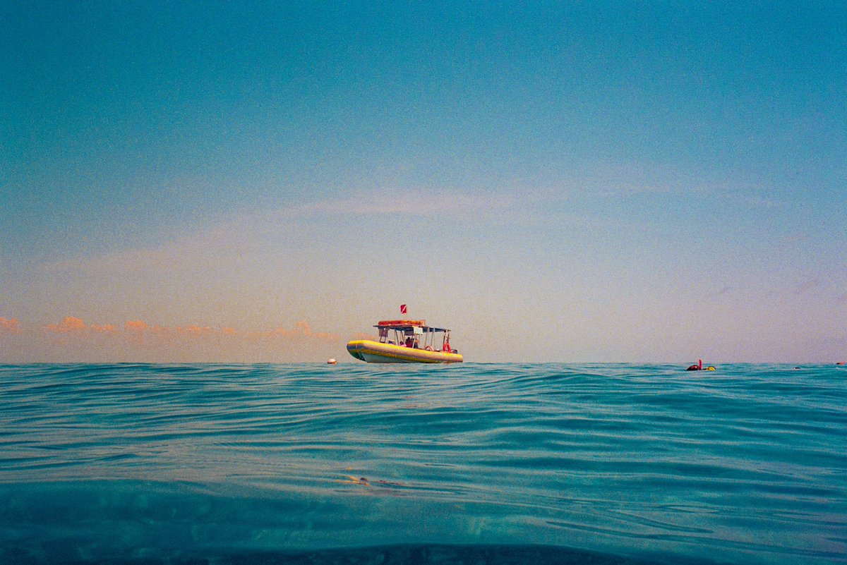 kyler_steele's tweet image. film camera          vs         the film