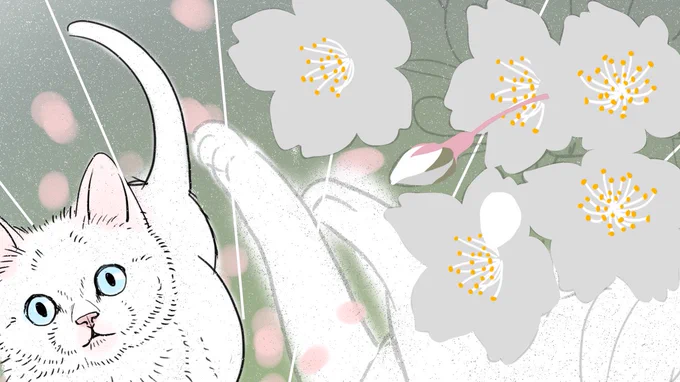 今日は童話の挿絵を進めていますよ
桜と白猫が印象的なシーンです 