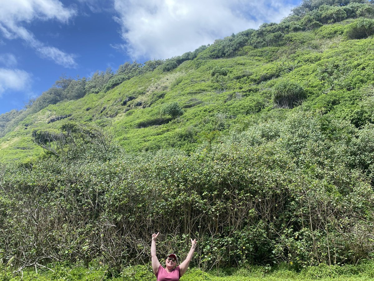 amanda_lipke2's tweet photo. A year ago in Hawaii living my best life. When I received my diagnosis I thought my life was over, I am proof that you can have a life after cancer! @ThanksCancer
#WeGotThis
#CancerPickedTheWrongGirl
#YouTookMyTitsButIKickedYourAss
#FuckYouCancer
#NotDoneFighting https://t.co/5QlGfyMgxE