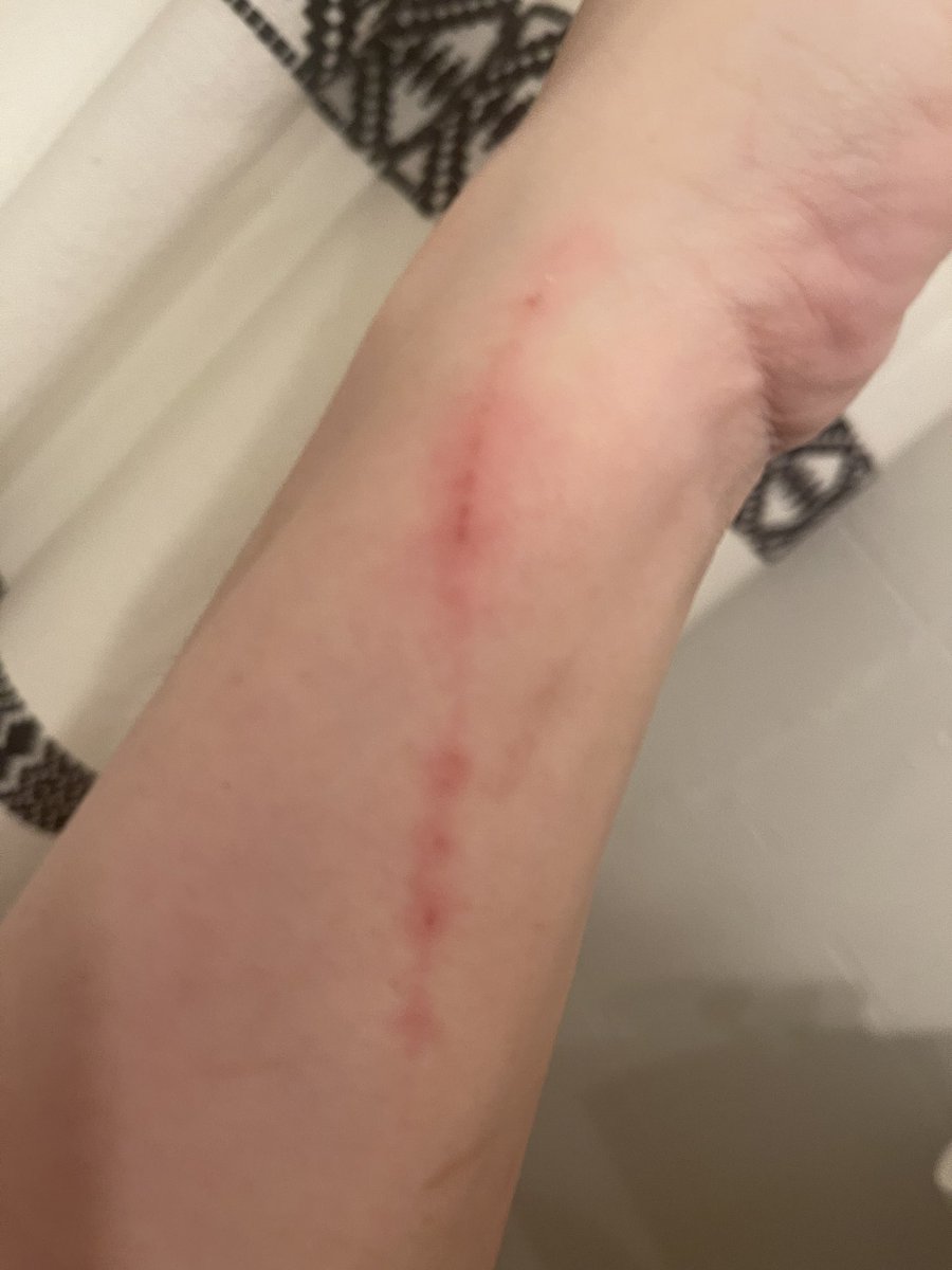 CVClyde's tweet photo. People: your cats so cute 
Me: yes, but she’ll straight up murder you (photo is a sign of LOVE note: I have 3 cats and 2 are delightful and would never maim me) https://t.co/71rbUAdgK3