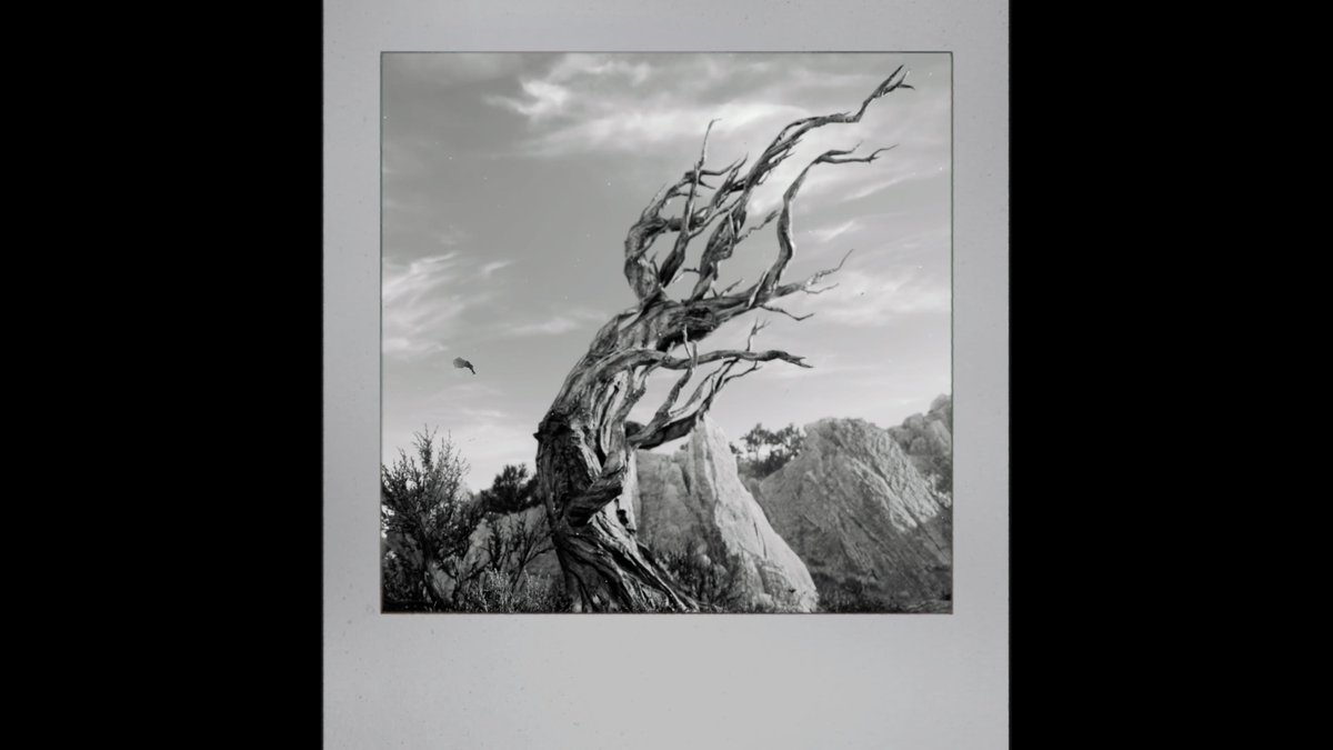 PoopsMcGoober's tweet photo. Spotted at @ArchesNPS (I think):
Bristlecone pine, the oldest tree in existence;
And tafoni (honeycomb weathering), formed by the erosion of rock made of ancient sand & calcite.
The Call To Adventure
#PS5Share #HorizonForbiddenWest #redbullcapturepointCA #contest https://t.co/3fru9Igw7Y