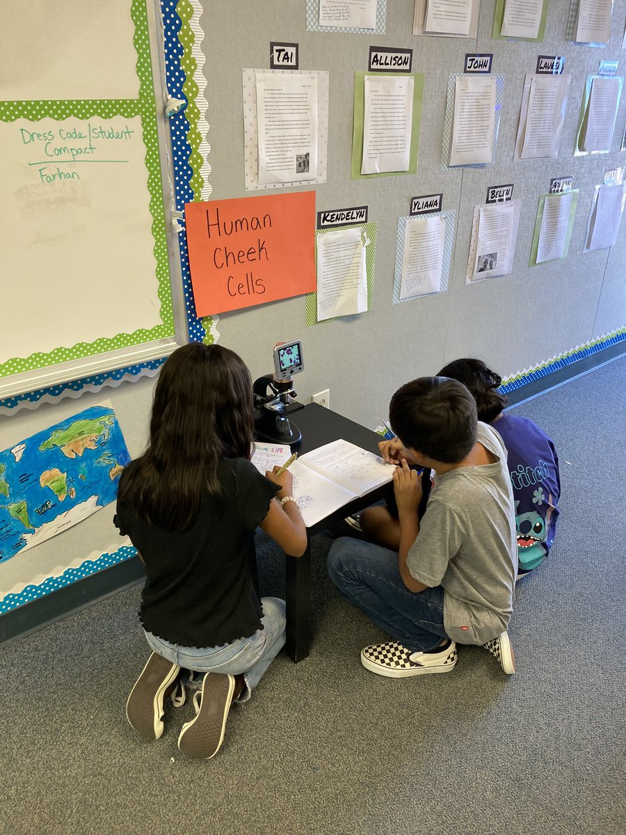 santana6thgrade's tweet photo. Science explore activity today. Do all living things have to have one or more cells?? Students observed various slides under microscopes and created data tables to show their observations. @PUSDEquityAndPL @2KatShoPUSD @ArmstrongPUSD @STEMscopes https://t.co/FmMTHxzaI7