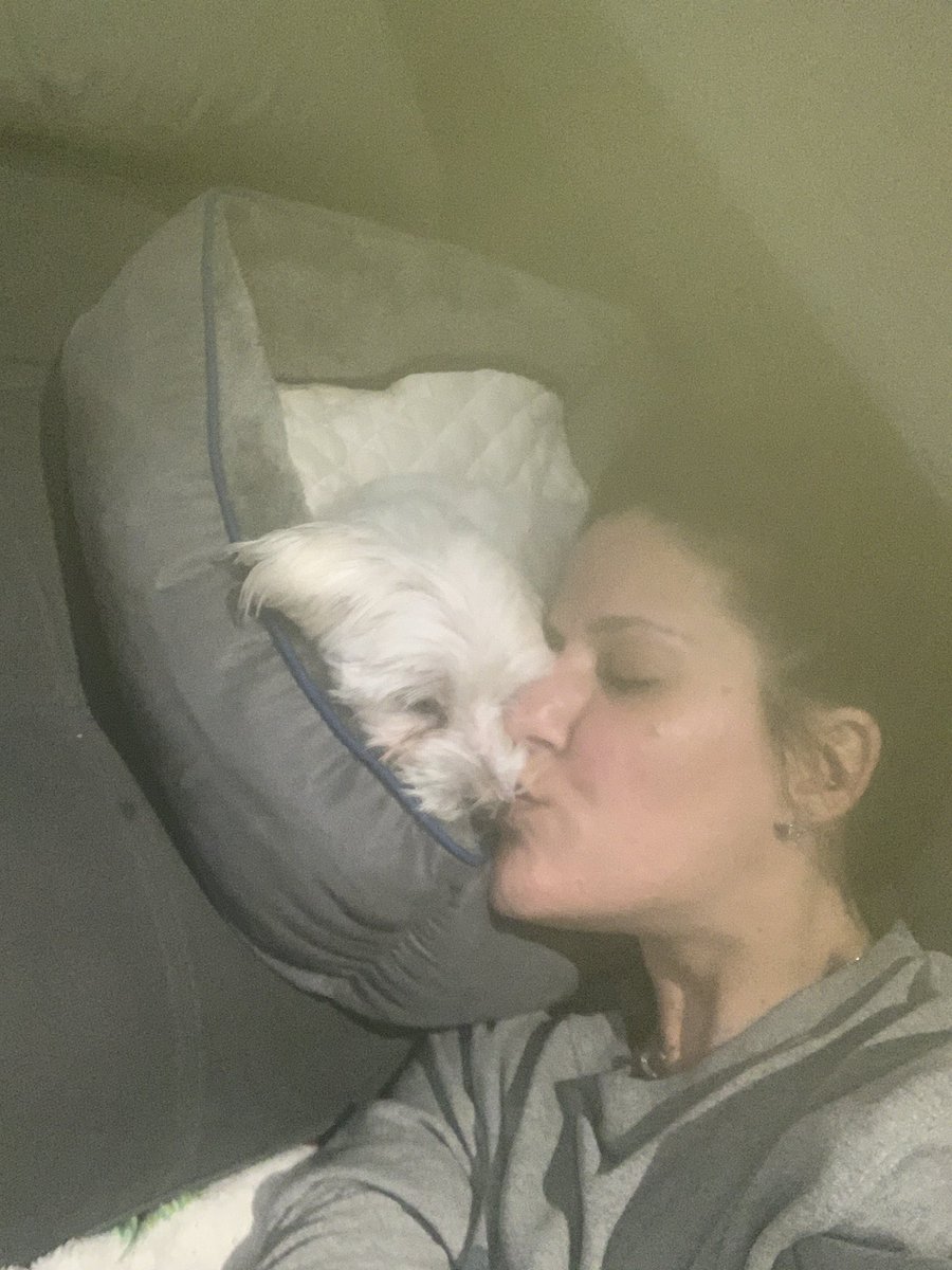 PuppyCapone's tweet photo. My happy place ♥️ https://t.co/4aPYRrW6TG