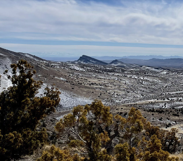 The option entitlement offer closing date has been extended until Monday, 3 Oct 2022: bit.ly/3f5aL4s

#AL8