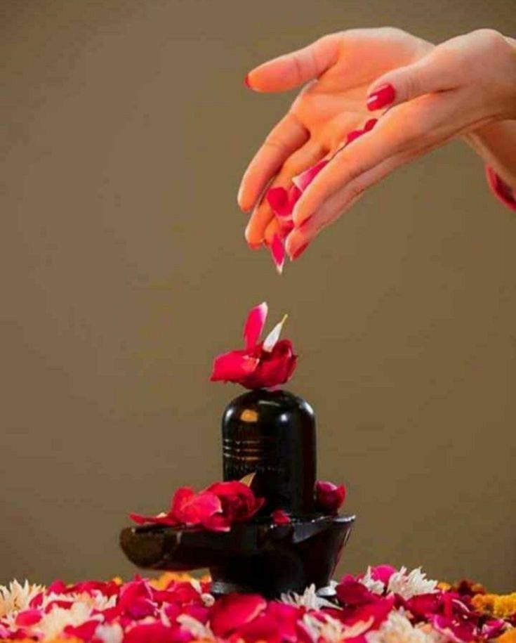 Swagatikamahan7's tweet photo. Good morning.....

❤️💝❤️ https://t.co/GKHzzwa1ZD