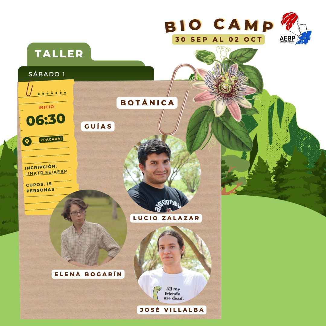 AEBPy's tweet photo. Les presentamos a los guías que estarán acompañándonos en cada uno de ellos durante el transcurso del viaje  🐟🦎🦅🪲🦇

⚠️ Cada uno de los talleres posee un número limitado de cupos. Podrás realizar tu inscripción ingresando al https://t.co/gKQFUfVkWc disponible próximamente 📌 https://t.co/kKaH7s5p88