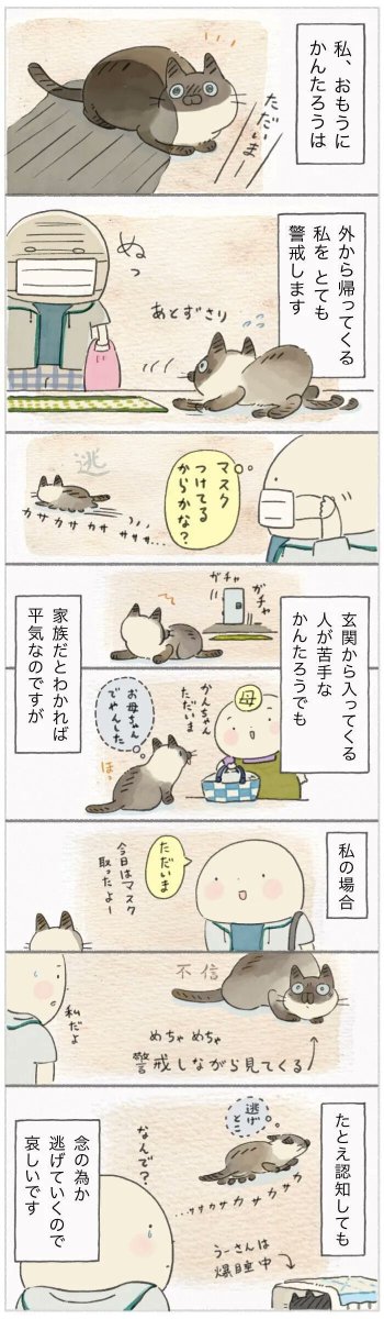 こんな怪しいやつが飼い主のわけない!! 忍び寄る人影にびびる猫【連載】ねこ連れ草 244話め|ねこのきもちWEB MAGAZINE https://t.co/3pInEzTEkO