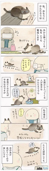 こんな怪しいやつが飼い主のわけない!! 忍び寄る人影にびびる猫【連載】ねこ連れ草 244話め|ねこのきもちWEB MAGAZINE https://t.co/3pInEzTEkO 