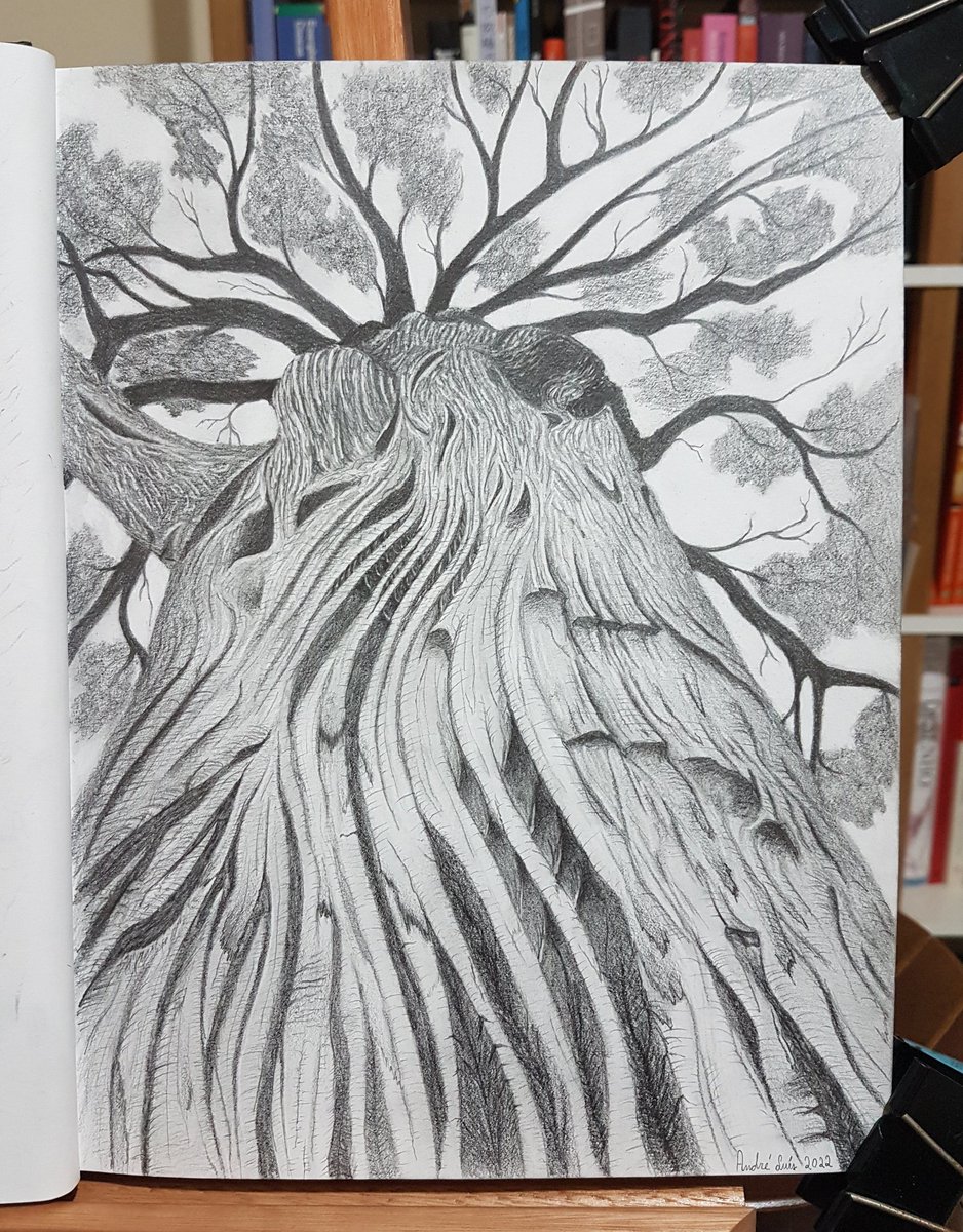 dedeluisfsd's tweet photo. Grafite sobre papel 90g. #arvore #tree #natureza #nature #arte #art #desenho #drawing #brancoepreto #blackandwhite #grafite #graphite https://t.co/KZnVed72X1