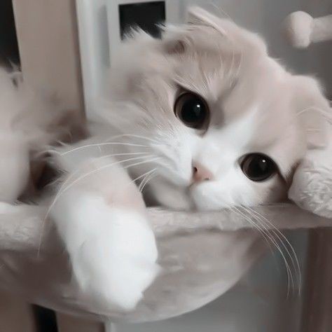 PotoHarII's tweet photo. Доброе утро https://t.co/0zFbA0TZpq
