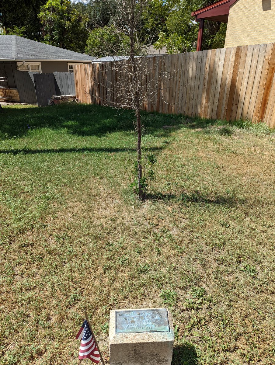 BillFnMurray1's tweet photo. @austinfiredept surely this memorial at Station 10 deserves better than the dead stick in the ground?? https://t.co/PqutEVtpRH