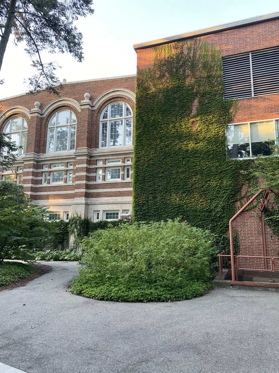 hi twitter! life has been hectic the past few months. i graduated from a&amp;m and moved up to michigan to begin my masters at msu! im sorry i haven’t been good at updating but i plan to be more active one my cool research takes off :) thanks again for all the support!