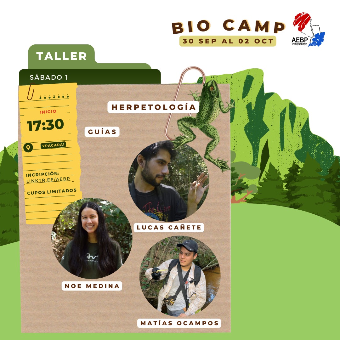 AEBPy's tweet photo. Les presentamos a los guías que estarán acompañándonos en cada uno de ellos durante el transcurso del viaje  🐟🦎🦅🪲🦇

⚠️ Cada uno de los talleres posee un número limitado de cupos. Podrás realizar tu inscripción ingresando al https://t.co/gKQFUfUN6E disponible próximamente 📌 https://t.co/XEftiBo7FP
