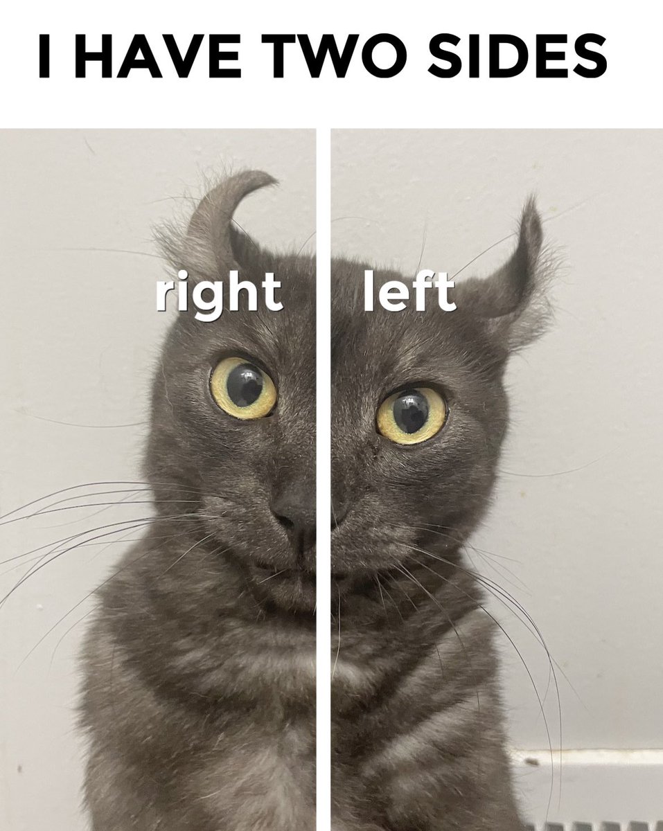 Meevin10's tweet image. 