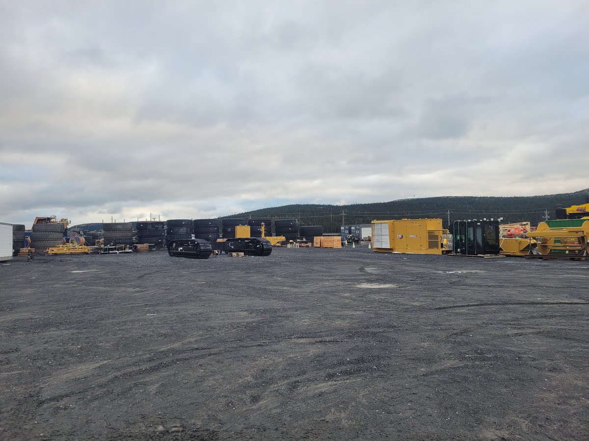 Just Billieee and his girls, I'm off assembling a new cat drill