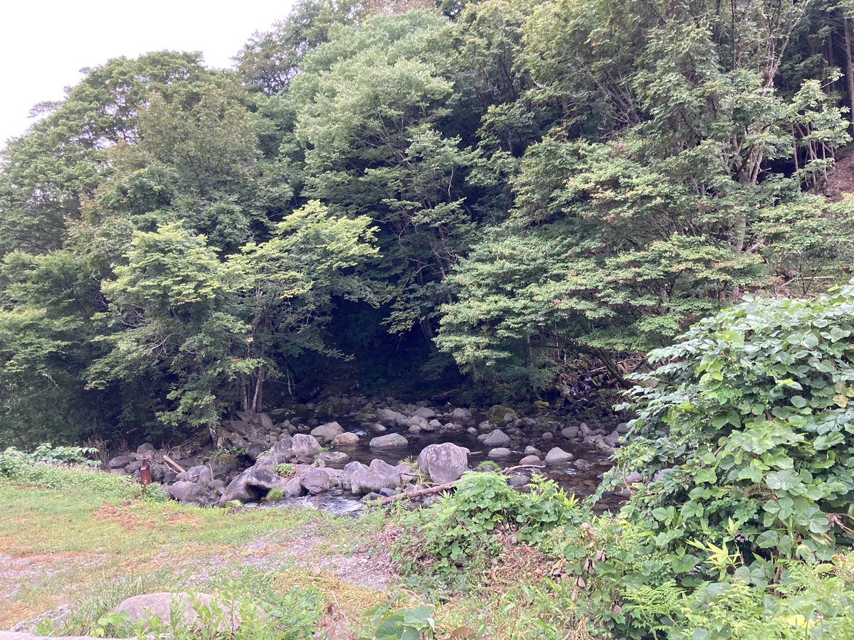 docchi24's tweet photo. 土日キャンプ行ってきました☺️
敷地内に釣り堀🎣さらに
目の前は川流れてて遊漁券
買ったら釣りして良いらしい…
釣り教えてくれる人おらんかな🥺笑
#キャンプ https://t.co/ldNb2mGH47