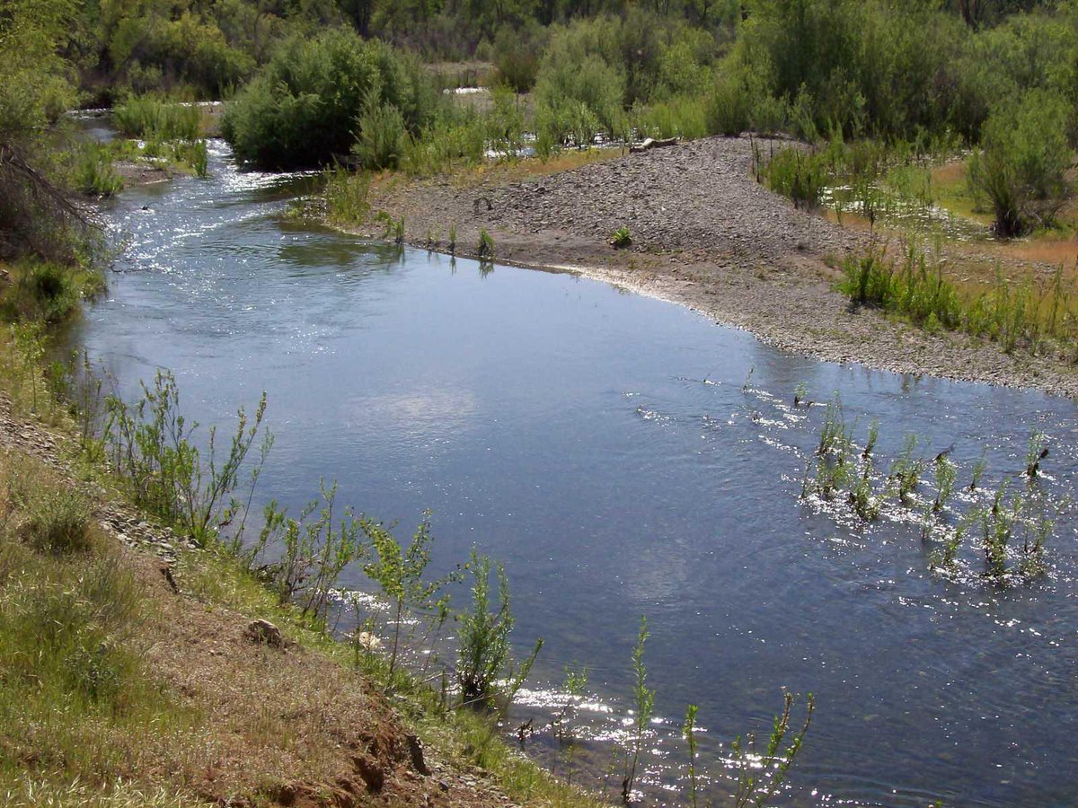 ReddingRep's tweet image. Al Swan would love to show you the #listing at 14700 Pope #RedBluff #CA  #realestate tour.corelistingmachine.com/home/T3U4VV