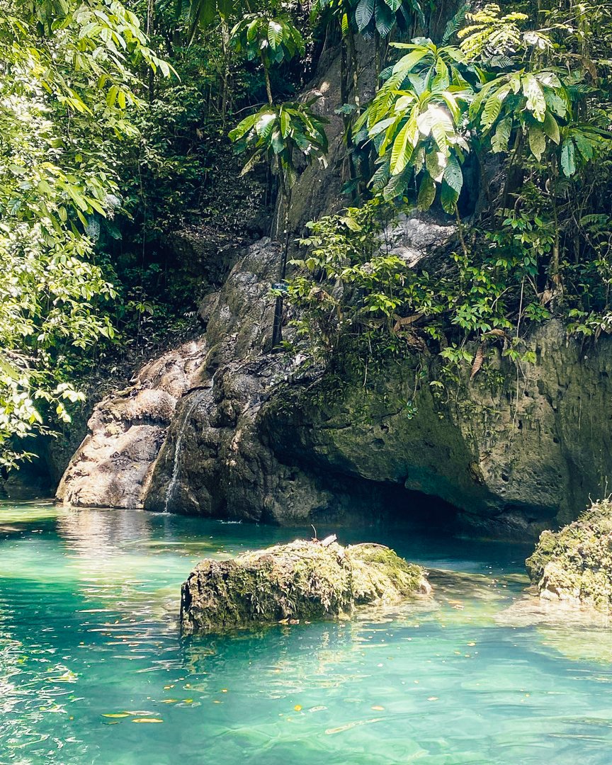 Funjet Vacations tweet media