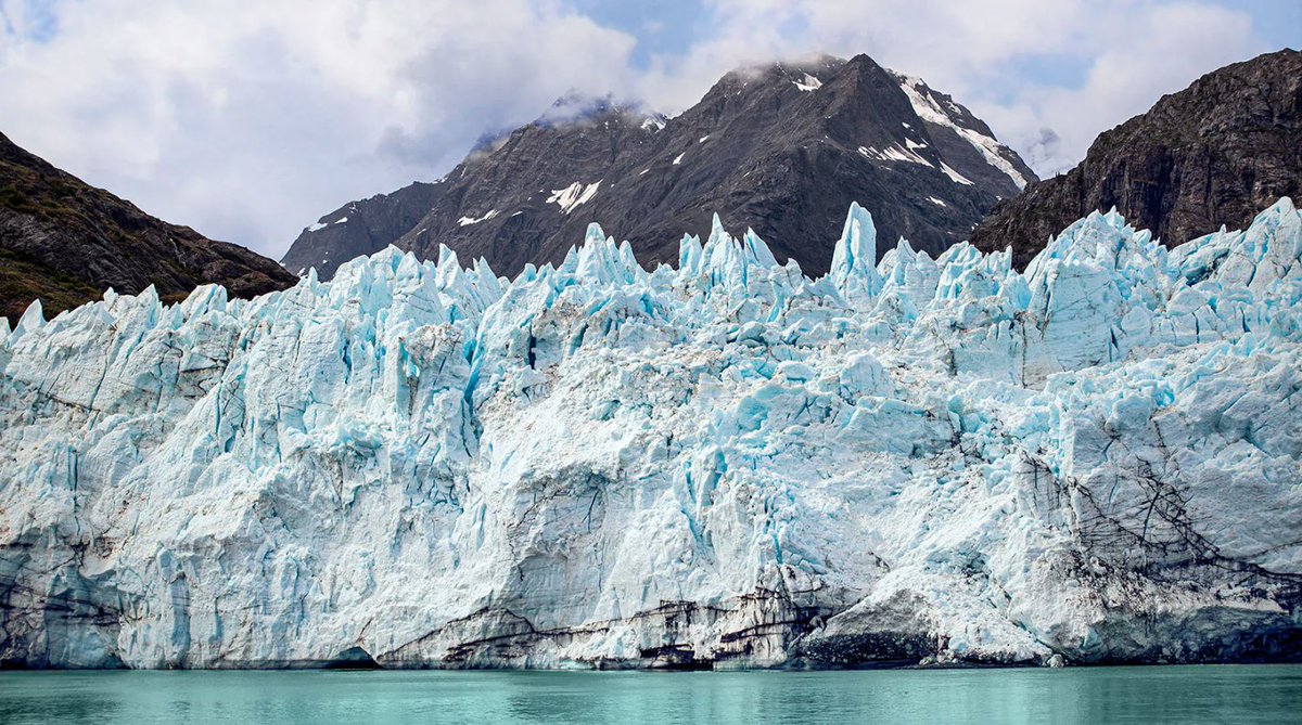 mvptravel's tweet photo. When you cruise to Alaska with Princess, sail through one of the most iconic locations in the Great Land β Glacier Bay National Park. @PrincessCruises #goMAST https://t.co/1a1PYCdMZA