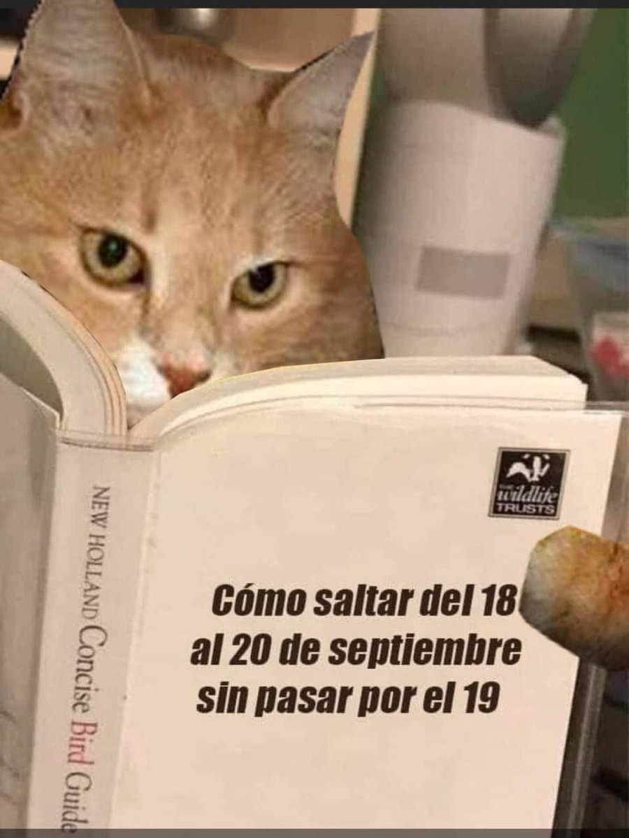 judithtrejo's tweet photo. @Lucyquiroga https://t.co/jeyHYTSHc2