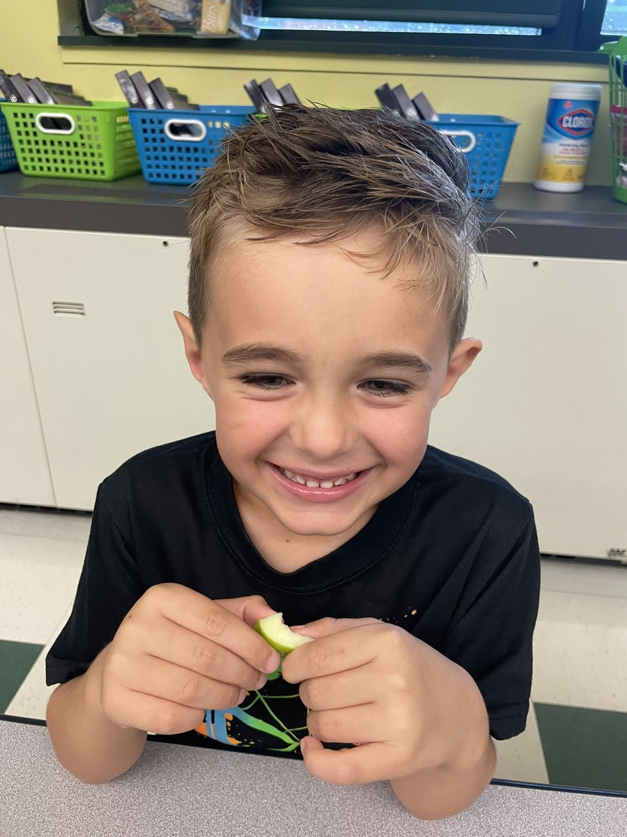 Mrs_Loucks's tweet photo. Kicking off our apple unit with some apple taste testing! 🍏 https://t.co/qBZD1i4806