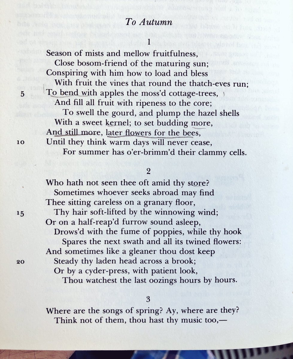 Kamran Javadizadeh tweet media