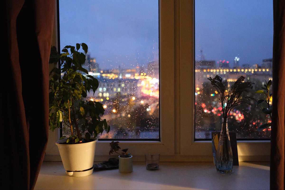 rainy blue hour ☔️

#photo #photography #22mm #fujifilm #rain #window #cozy #plants #flowers #twilight #relax #city #lights