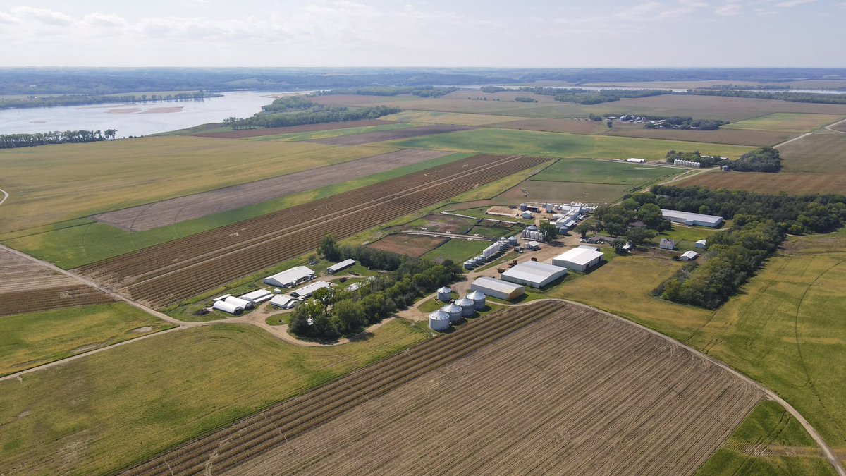 Finally starting to feel like fall. Fields are turning, and about wrapped up with Seed Corn Harvest.