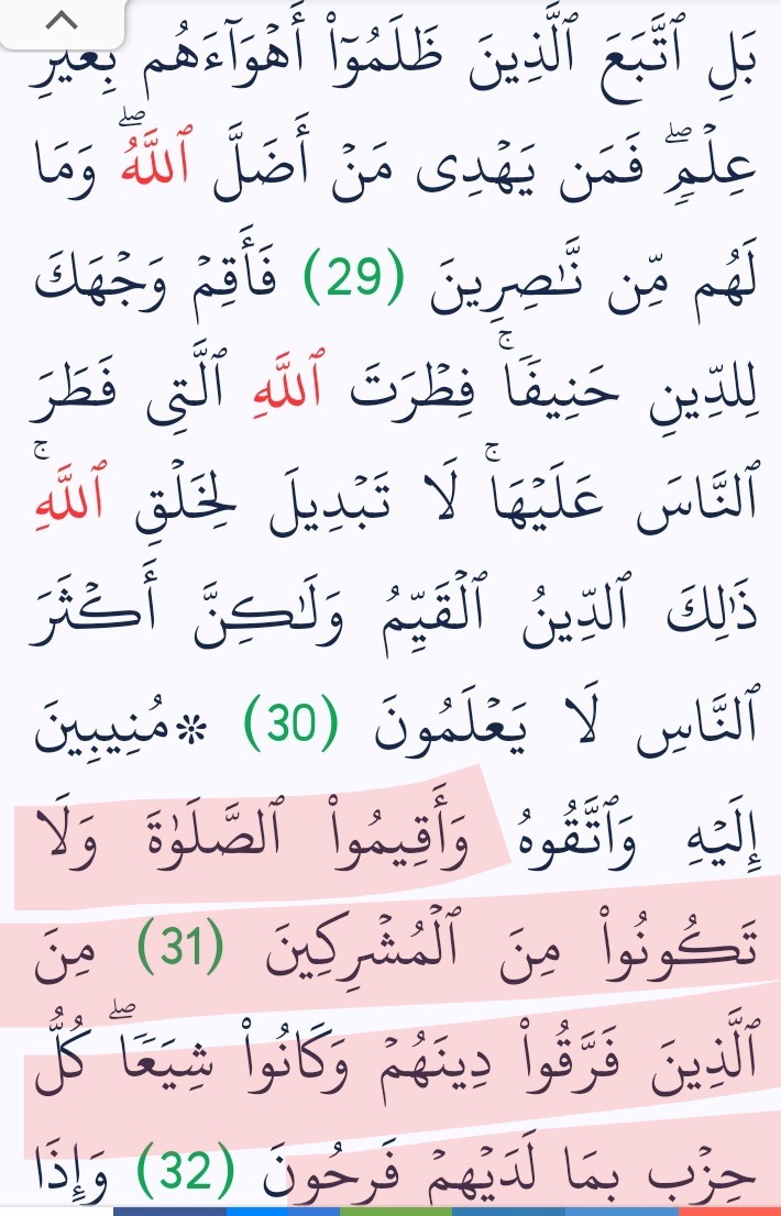 KhalefaRamadan's tweet photo. @sat20tam @mnlhth أقوللك معلومة أهم من موضوع الألباني ؟ هل تعلم أن إنتماءك للسنة أو الشيعة أو الوهابية أو أي فرقة هو شرك بنص كتاب الله ..إيه رأيك فى الألباني ؟ لو مش مصدق أرجو ألايوسوس لك الشيطان تكذيب هذه الآية 👇 https://t.co/9j42R1LCYo