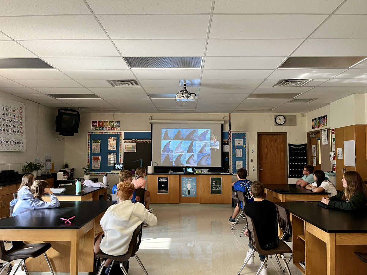 MrsSLeonard's tweet photo. A group of OVMS science students had the opportunity to meet with Dr.Orbach, a marine biologist! Dr.Orbach studies dolphins and whales all over the globe. #skypeascientist #middleschoolscience https://t.co/u74jftaCsi