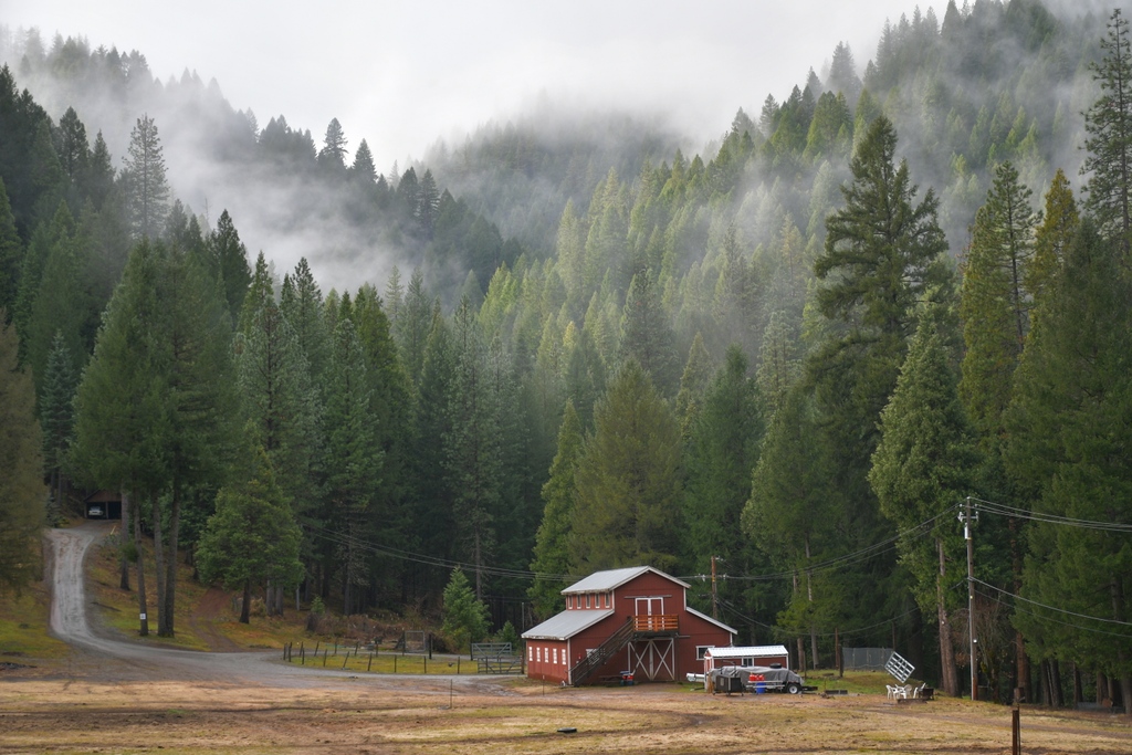 LureResort's tweet photo. With the fall season quickly approaching, we're all about these dreamy mornings at the Lure.

#LureResort #LureLife #LostSierra #adventuredestination #getaway #vacationstay #northerncalifornia #explore #downieville #norcal #foggymornings #fog #fallseason #fallweather https://t.co/oPsinPKlky