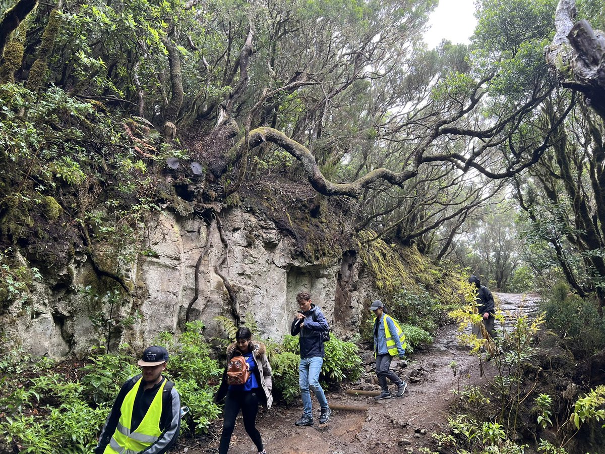 IgnacioGarciaGT's tweet photo. Tenerife. Same day, 40 min later, and a different ecosystem is in front of us. Amazing long day with @Brunel_EnvBSc @Bruneluni on their 2022 Environmental Science Field Trip #laurisilva #geography #ecology #botany #renewables #hydrology @GeoTenerife https://t.co/iPgrDbGehl