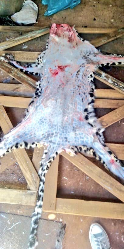 ZuluSweG's tweet photo. @phume22 Phume this is my work ungangihleki 😬 https://t.co/VnVz1ZI0V1